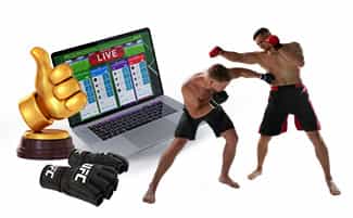 Dos luchadores, guantes y un ordenador para hacer apuestas a UFC.