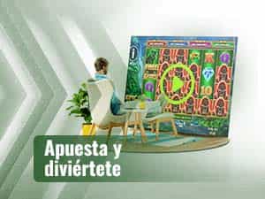Apuesta y diviértete