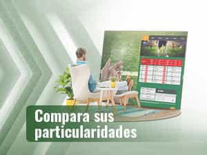Espectador viendo la oferta de mercados disponible para apuestas de fútbol online.