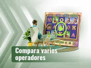 Apuesta y diviértete