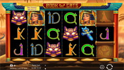 Tragaperras Book of Cats de BGaming en Duelbits
