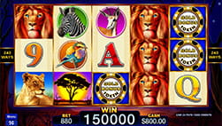 La máquina slot Majestic Lions en casino online BetMGM Michigan