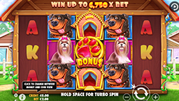 Tragamonedas The Dog House en TurboVegas