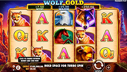 Slot Wolf Gold en Royal Panda