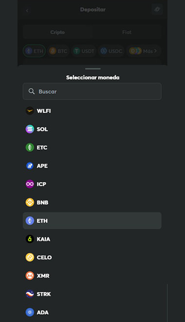 Elige la opción de criptomonedas en la caja del casino.