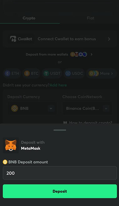 Envía las criptomonedas desde tu billetera y espera la confirmación de la transacción.
