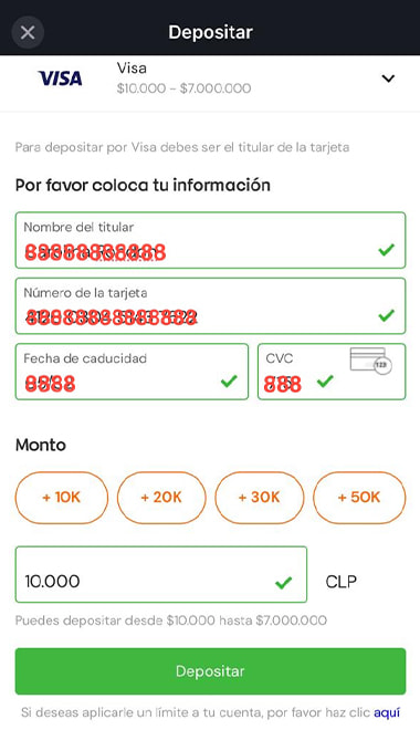 Pantalla de depósito con Visa y formulario para ingresar los datos de la tarjeta.