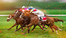 Apuestas de caballos.