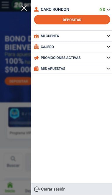 Sección de