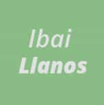 El streamer y creador de contenido Ibai Llanos.