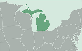 Mapa geográfico de Michigan.