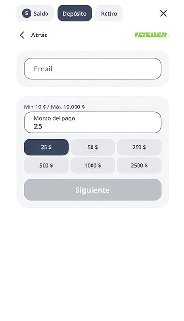 Ingreso del correo electrónico y del monto para pagar con Neteller.
