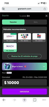Sección del cajero de GranaWin con opciones de pago