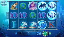 Partida a la slot God of Wild Sea de Playson donde aparece una combinación ganadora y varios comodines.