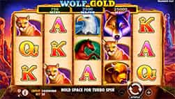 Wolf Gold en Solbet