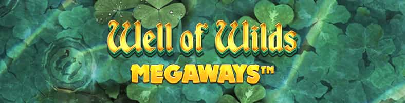 Portada de la slot online Well of Wilds Megaways para casinos online de Argentina.