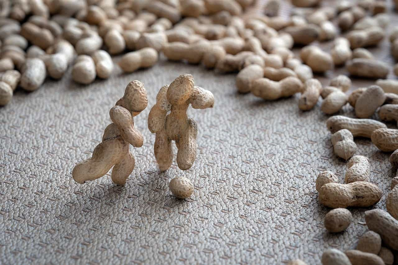 Cacahuetes jugando al fútbol.