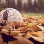 Pelota de fútbol, ajada y con cortes, sobre un montón de hojas secas.