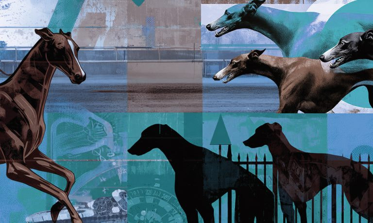 Regulacion Barbarie Carreras Animales